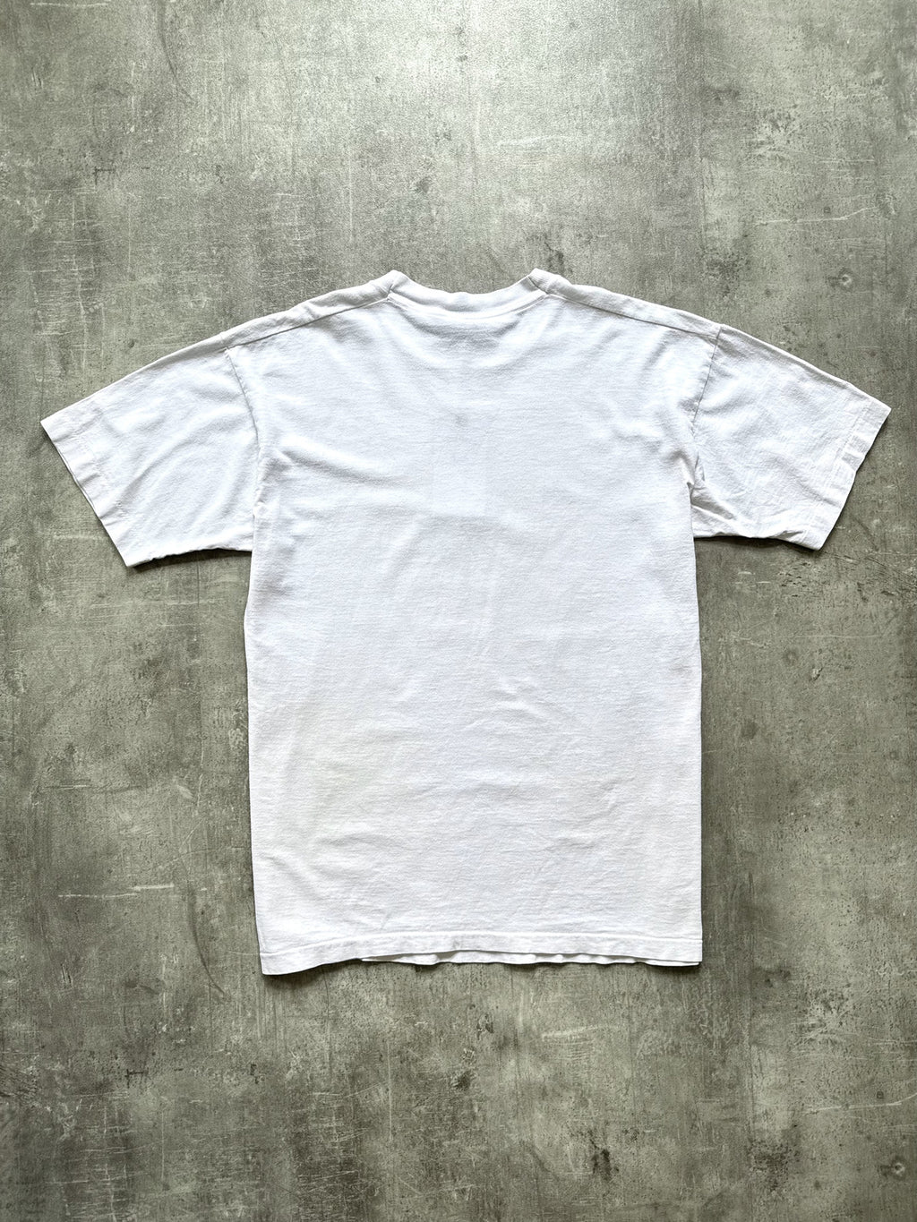 Vintage 1990's Blithewold Mansion Anne Kilham Art Single Stitch Graphic Tee.