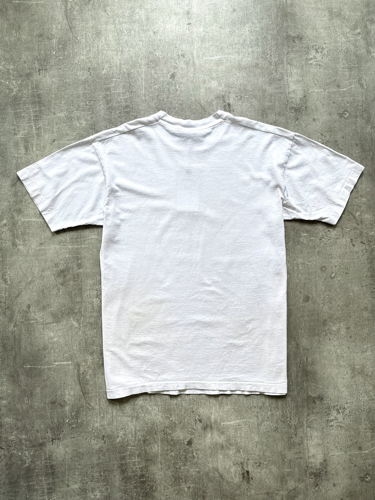 Vintage 1990's Blithewold Mansion Anne Kilham Art Single Stitch Graphic Tee.